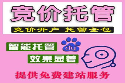 百度广告竞价如何提高广告转化率？——某电商平台的实战经验